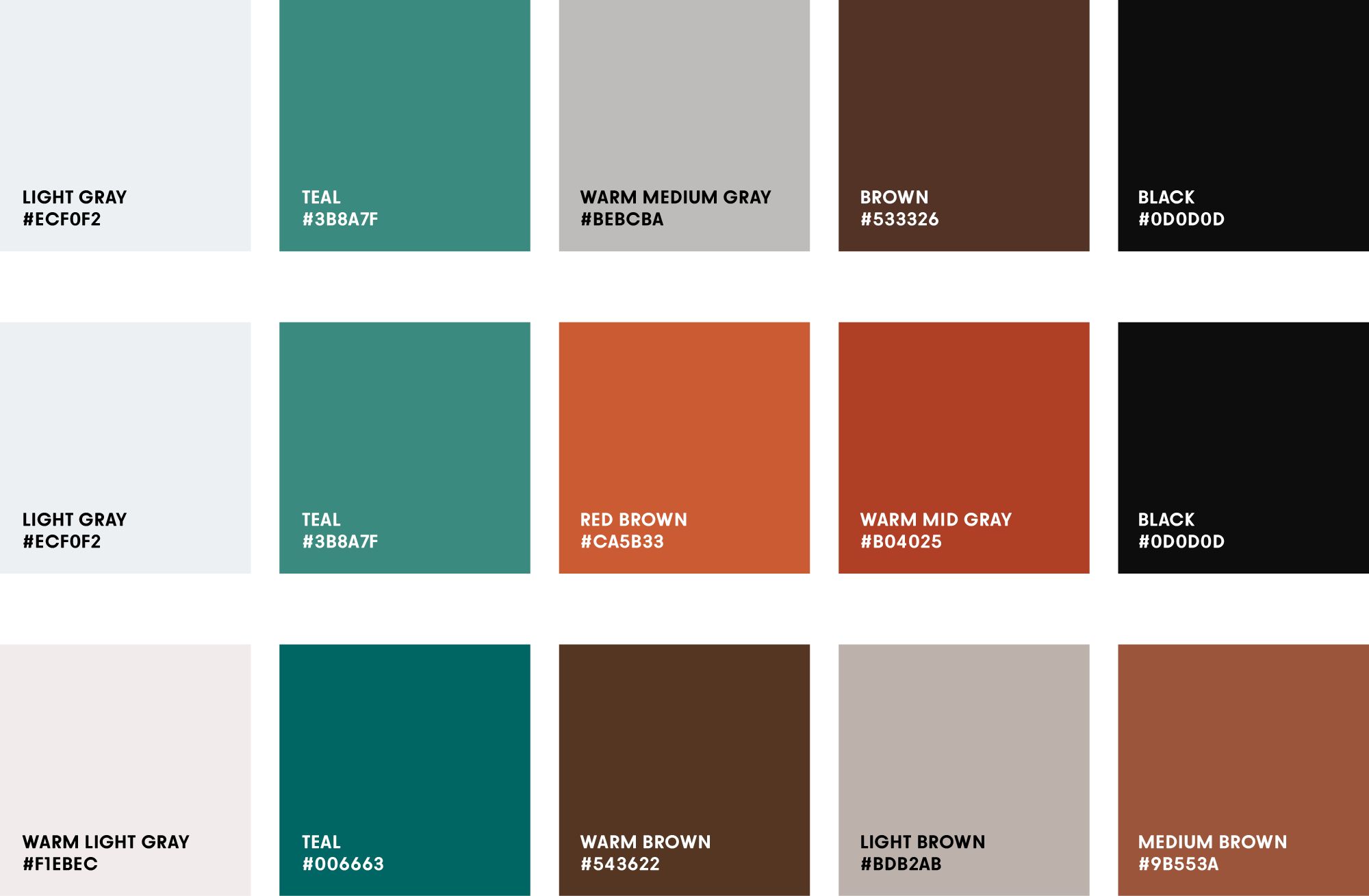 teal color palette using complementary colors