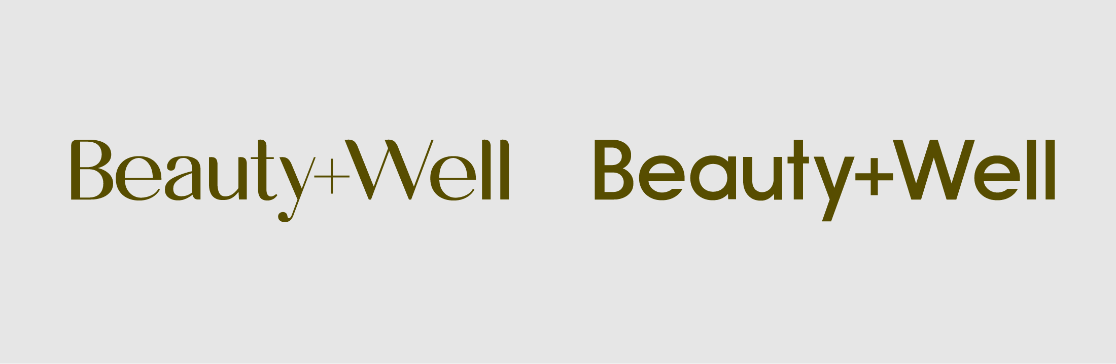 font for beauty logo designs